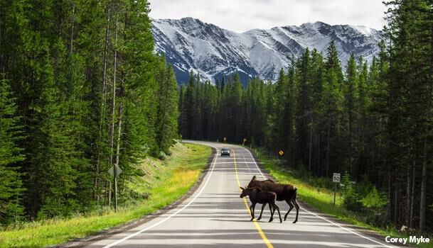 Peter Lougheed Provincial Park